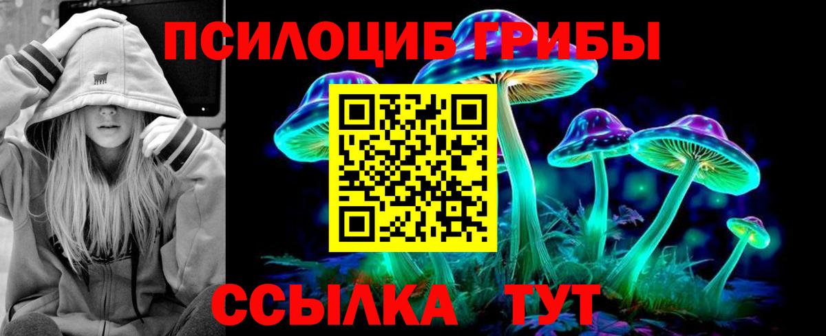 Сызрань  Галлюциногенные грибы мицелий  Вход с VPN 